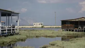 Backdrop to the movie "Our Wildest Days" #713547