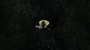 Backdrop to the movie "Booger" #745465