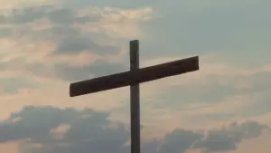 Backdrop to the movie "Sanatorium" #699475