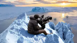 Backdrop to the movie "Bear Witness" #725170