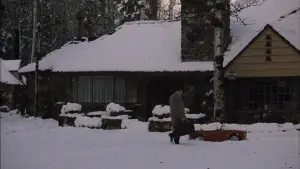 Backdrop to the movie "The Godfather Part II" #749051