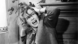 Backdrop to the movie "The Birds" #209985