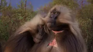 Backdrop to the movie "Le royaume des nuages" #800276