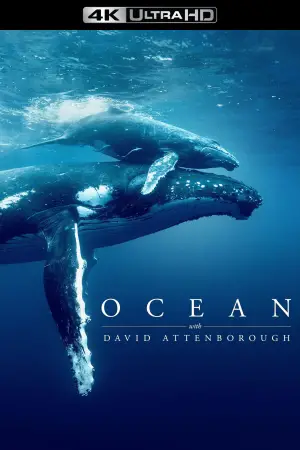 Poster to the movie "Ocean with David Attenborough" #617873