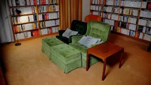 Backdrop to the movie "Bergmans video" #466237