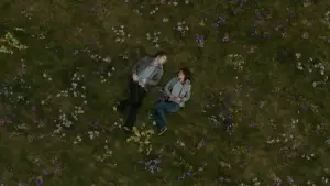 Backdrop to the movie "The Twilight Saga: New Moon" #519709