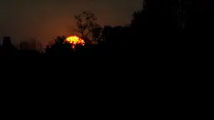 Backdrop to the movie "The Evil Dead" #800598