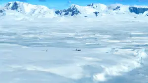 Backdrop to the movie "Happy Feet" #671400