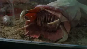 Backdrop to the movie "Killer Condom" #417206