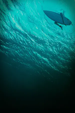 Poster to the movie "The Shallows" #289669