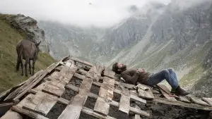 Backdrop to the movie "The Eight Mountains" #201157