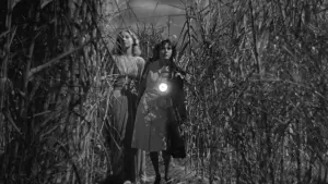 Backdrop to the movie "I Walked with a Zombie" #466297