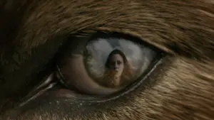 Backdrop to the movie "The Twilight Saga: New Moon" #519704