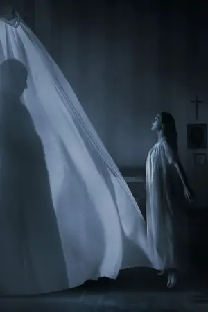 Poster to the movie "Nosferatu" #553153