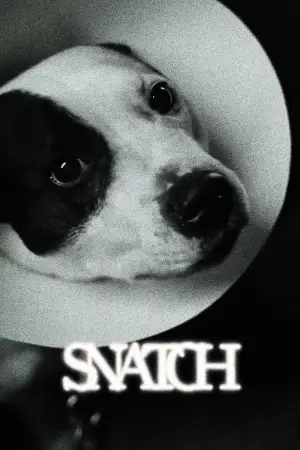 Poster to the movie "Snatch" #753733