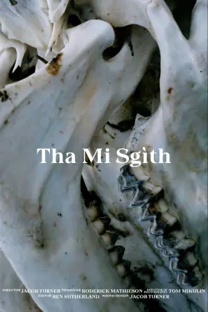 Poster to the movie "Tha Mi Sgìth" #473945