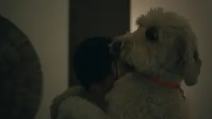 Backdrop to the movie "Splitsville" #796445