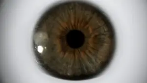 Backdrop to the movie "Under the Skin" #805177