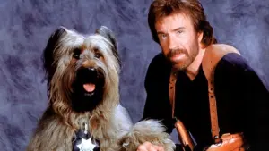 Watch film Top Dog | Top Dog (1995) Trailer (VHS Capture)