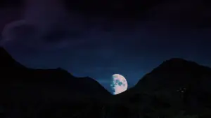 Backdrop to the movie "Highlander" #839265