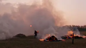 Backdrop to the movie "Reedland" #790224