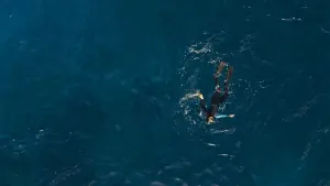 Backdrop to the movie "The Dive" #323415