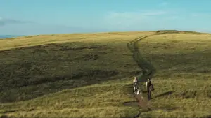 Backdrop to the movie "Stardust" #802846