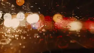 Backdrop to the movie "Prisoners" #639683