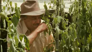 Backdrop to the movie "The Godfather" #518677