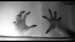 Backdrop to the movie "They Live on Top" #665926