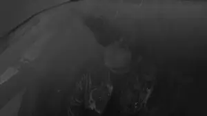 Backdrop to the movie "Blade Runner 2049" #747091