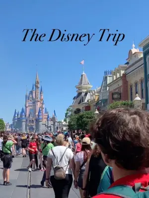 Poster to the movie "The Disney Trip" #504667