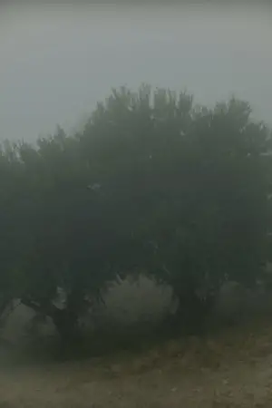 Movie poster "Why Do I See You in Everything?"