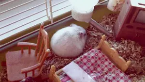 Backdrop to the movie "Nymphomaniac: Vol. I" #696878