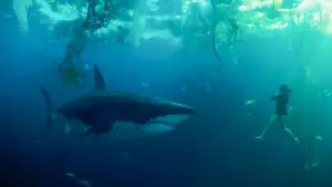 Backdrop to the movie "Under Paris" #595592