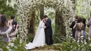 Backdrop to the movie "The Twilight Saga: Breaking Dawn - Part 1" #526603