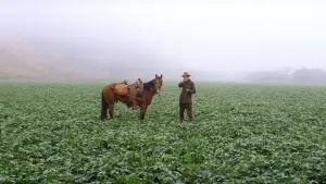 Backdrop to the movie "There Will Be Blood" #624095