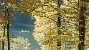 Backdrop to the movie "The Bare Necessity" #705208