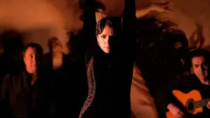 Backdrop to the movie "Flamenco Flamenco" #744753