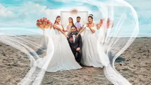 Backdrop to the movie "Groom & Two Brides" #783847