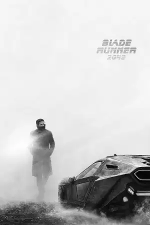 Poster to the movie "Blade Runner 2049" #797581