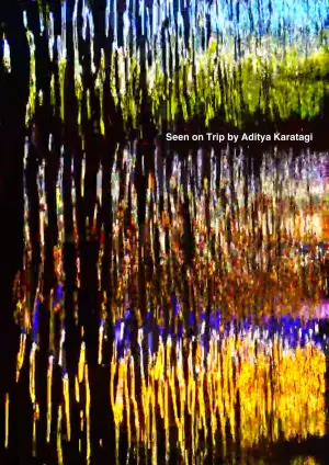 Poster to the movie "Seen on Trip" #575040