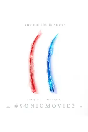 Poster to the movie "Sonic the Hedgehog 2" #748163