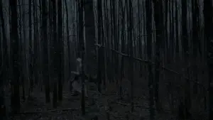 Backdrop to the movie "The Witch" #600252