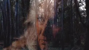 Watch film All You Need Is Death | Feature Trailer