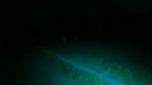 Backdrop to the movie "Port Meadow" #540192