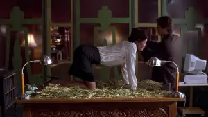 Backdrop to the movie "Secretary" #718502