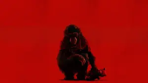 Backdrop to the movie "Primate" #766100