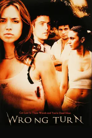 Poster to the movie "Wrong Turn" #610102