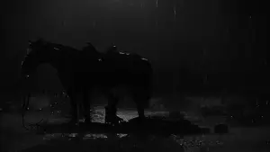 Backdrop to the movie "My Darling Clementine" #938814